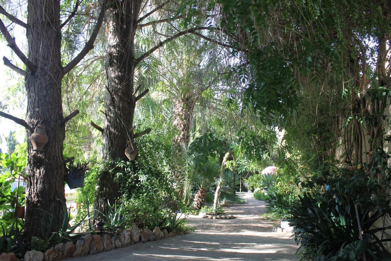 Casa Rural COMPLEX MASIA DEL TREMENDO Camarles Bagian luar foto