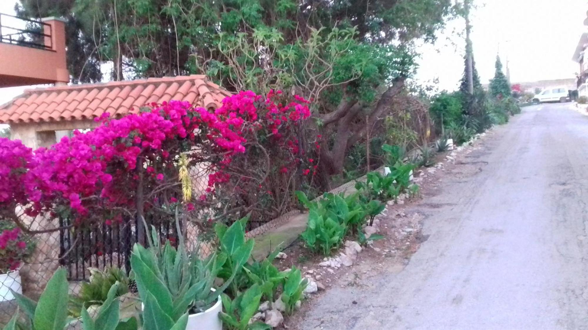 Casa Rural COMPLEX MASIA DEL TREMENDO Camarles Bagian luar foto